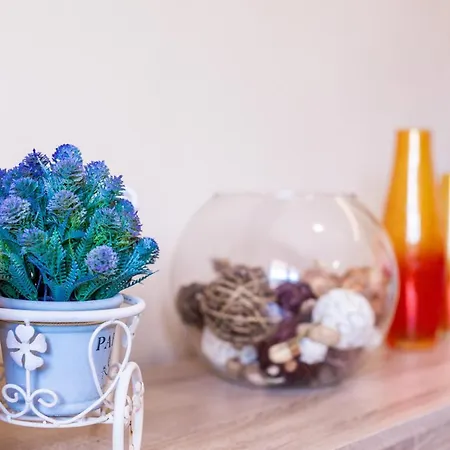 Twinstars With Courtyard And View *