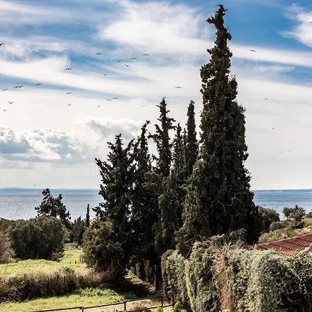 Twinstars With Courtyard And View *