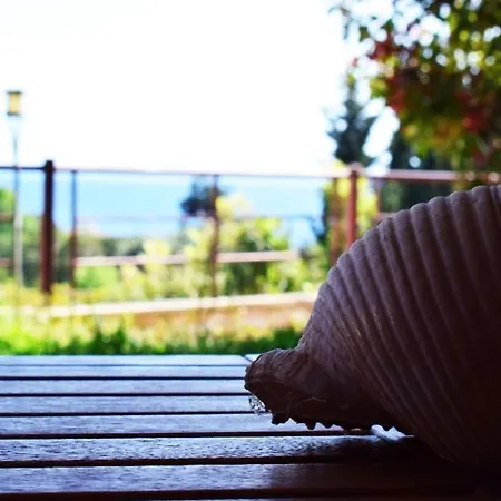 Twinstars With Courtyard And View