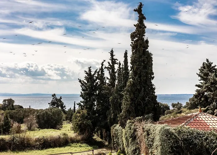 Twinstars With Courtyard And View *